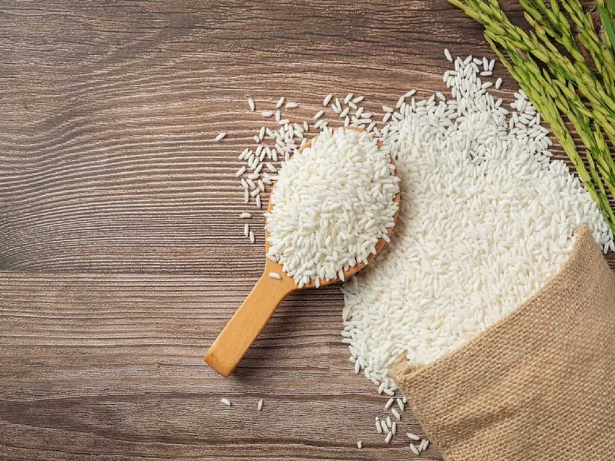 Rice Export: सरकार का बड़ा फैसला, चावल निर्यातकों को 6 महीने के लिए मिली राहत