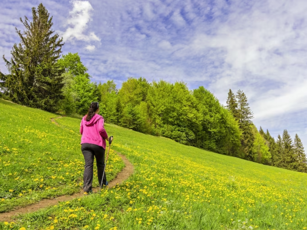 शिमला-मनाली-नैनीताल जाना तो कॉमन हो गया, जून के महीने में परिवार के साथ करना है फन, तो ये 4 जगह हैं परफेक्ट