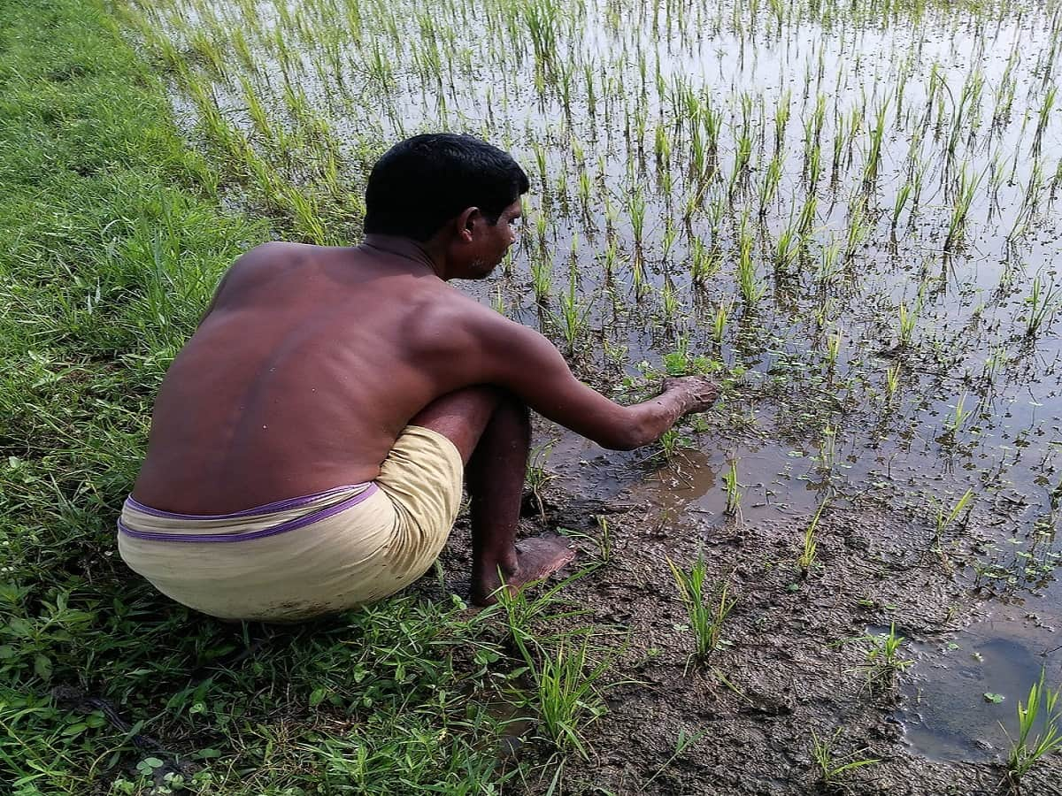 किसानों को 7,000 रुपये दिए जाएंगे