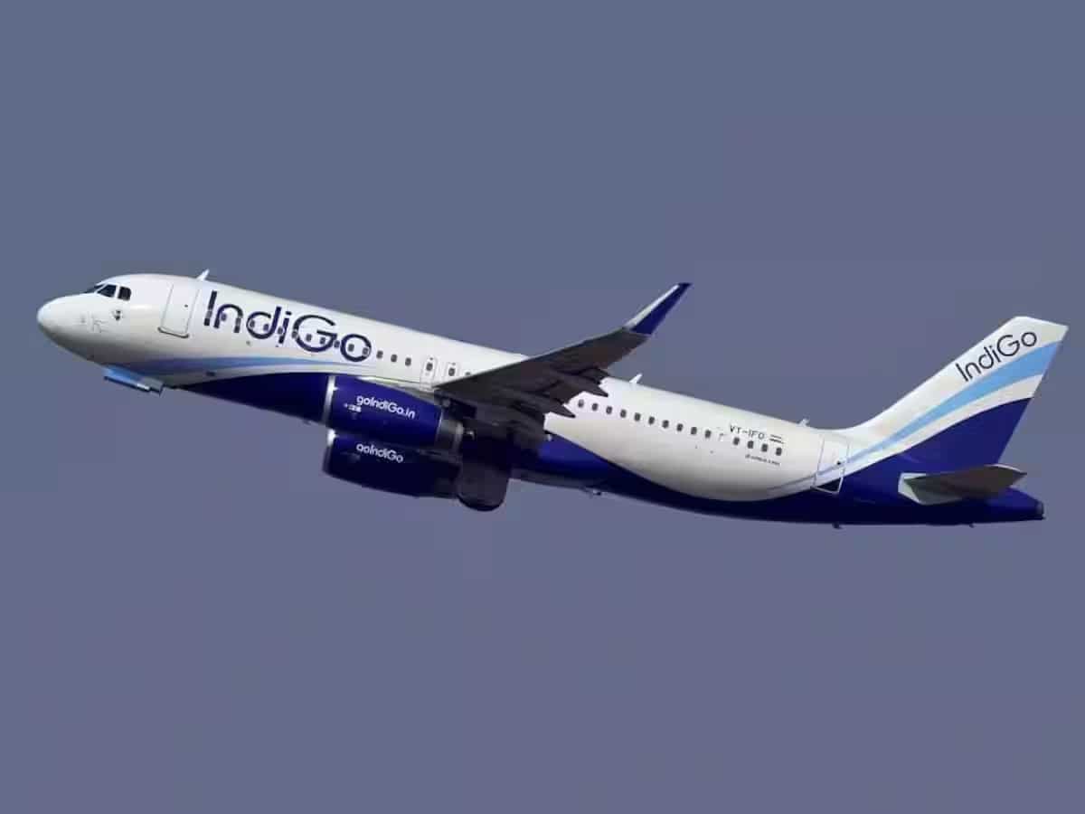 Indigo फ्लाइट की 20 मिनट के अंदर हुई इमरजेंसी लैंडिंग, विमान में सवार थे बीजेपी विधायक और केंद्रीय मंत्री