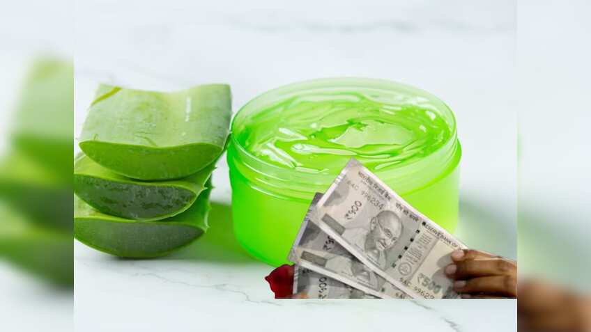 Business Idea: 2.50 लाख में शुरू करें हर महीने 1 लाख रुपये कमाई वाला ये बिजनेस, खूब है डिमांड