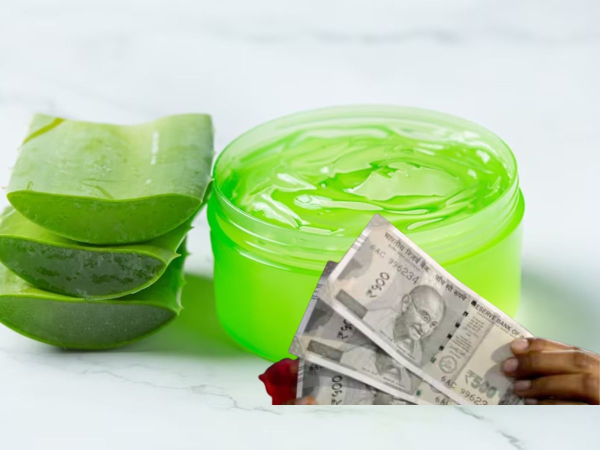 Business Idea: 2.50 लाख में शुरू करें हर महीने 1 लाख रुपये कमाई वाला ये बिजनेस, खूब है डिमांड