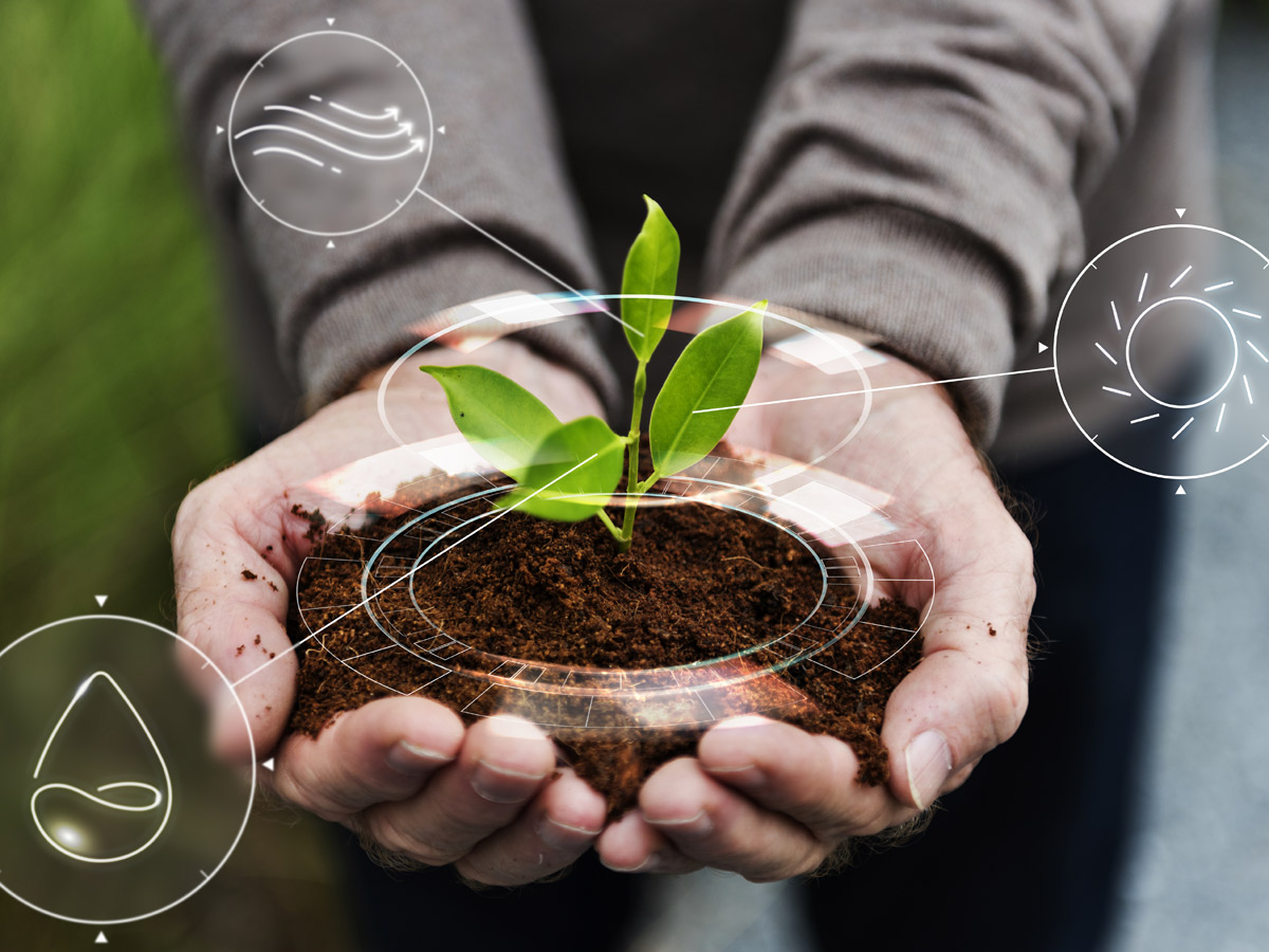 AI की मदद से खेती में आने वाली है क्रांति, जानिए कैसे फसलें होंगी बेहतर और किसानों को होगा तगड़ा मुनाफा