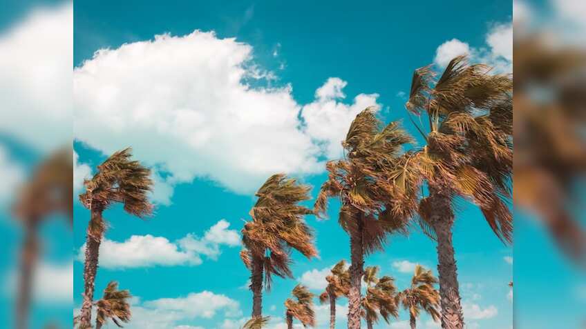 World Wind Day 2023: हवा चलती है ये तो सब जानते हैं, लेकिन कैसे चलती है और कैसे दिशा बदलती है, क्‍या ये पता है आपको?