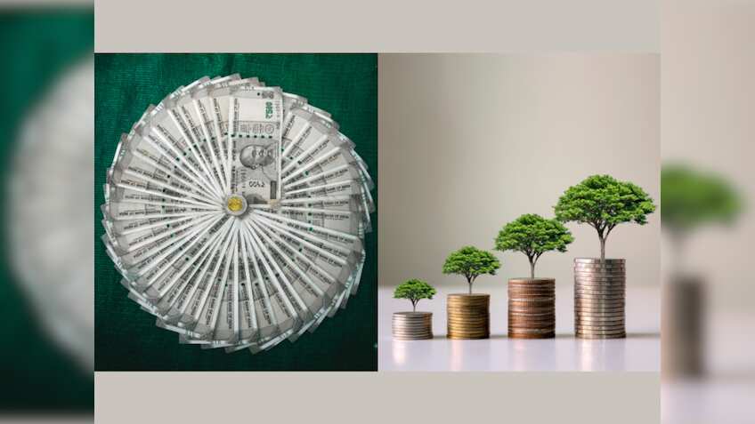 Crorepati Tips: इस एक गलती की वजह से अक्‍सर पूरा नहीं होता करोड़पति बनने का सपना, आप भी कर रहे हैं तो वक्‍त रहते सुधार लें