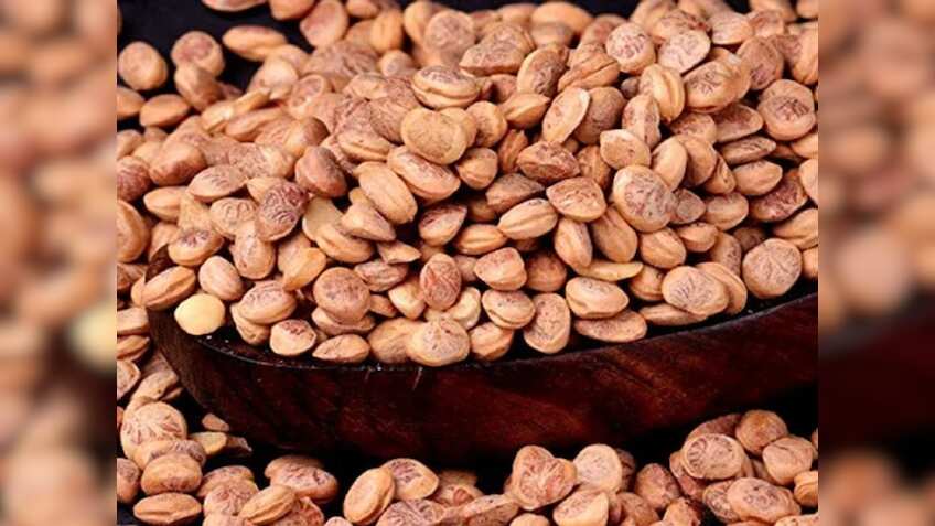 योगी सरकार का बड़ा फैसला, सोनभद्र के जंगलों में विमान से छिड़के जाएंगे चिरौंजी के बीज, किसानों होगा ये फायदा