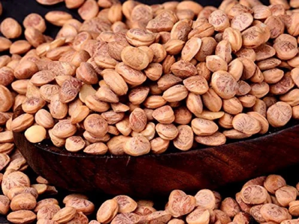 योगी सरकार का बड़ा फैसला, सोनभद्र के जंगलों में विमान से छिड़के जाएंगे चिरौंजी के बीज, किसानों होगा ये फायदा