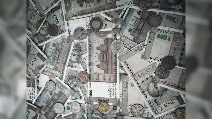 इस बिजनेस से होगी बंपर कमाई, शुरू करने के लिए सरकार दे रही पैसे, चूके तो पछताते रह जाएंगे