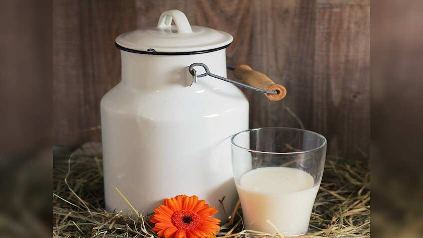 डेयरी इंडस्ट्री में आएगी क्रांति, सरकार ने लॉन्च की Dugdh Sankalan Sathi App, जानिए कैसे होगा फायदा