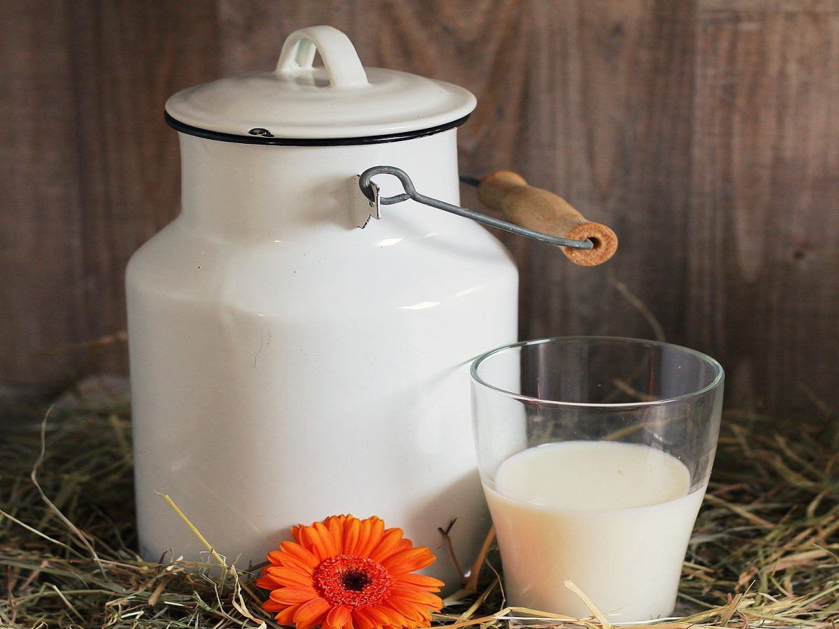 डेयरी इंडस्ट्री में आएगी क्रांति, सरकार ने लॉन्च की Dugdh Sankalan Sathi App, जानिए कैसे होगा फायदा