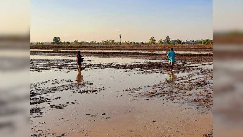 खेतों की सिंचाई के लिए फ्री बिजली कनेक्शन देगी ये सरकार, बिछाए जाएंगे तार, लगेंगे ट्रांसफार्मर