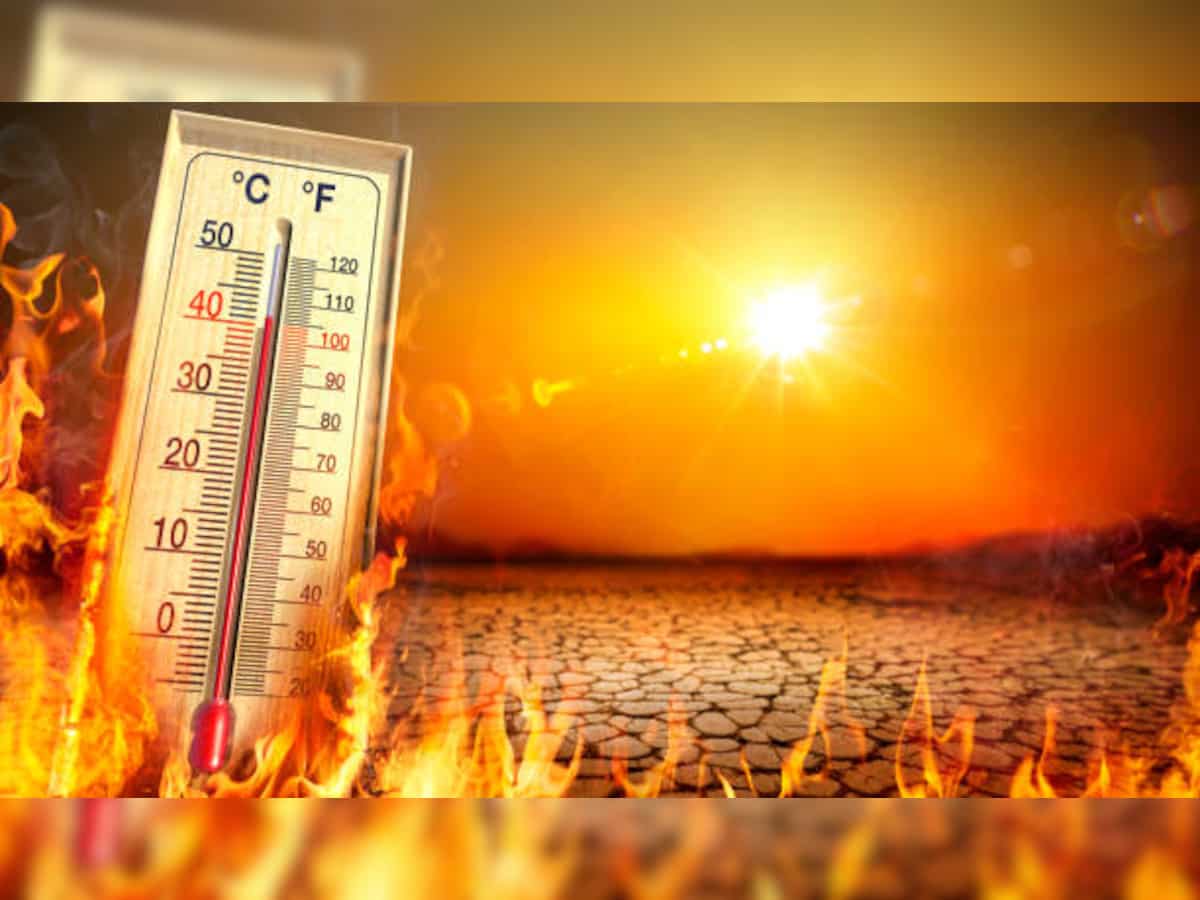 UAE ने लगाया गर्मी में बाहर काम करने पर बैन, भारत में हीटवेव से सिर्फ दो राज्यों में 98 लोगों की मौत  