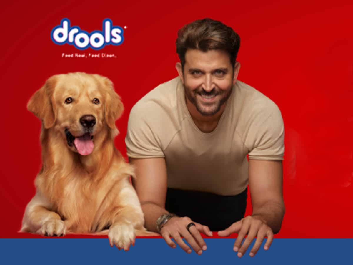 Pet Food कंपनी Drools ने जुटाई ₹500 करोड़ की फंडिंग, जानिए कितना बड़ा है इसका बिजनेस