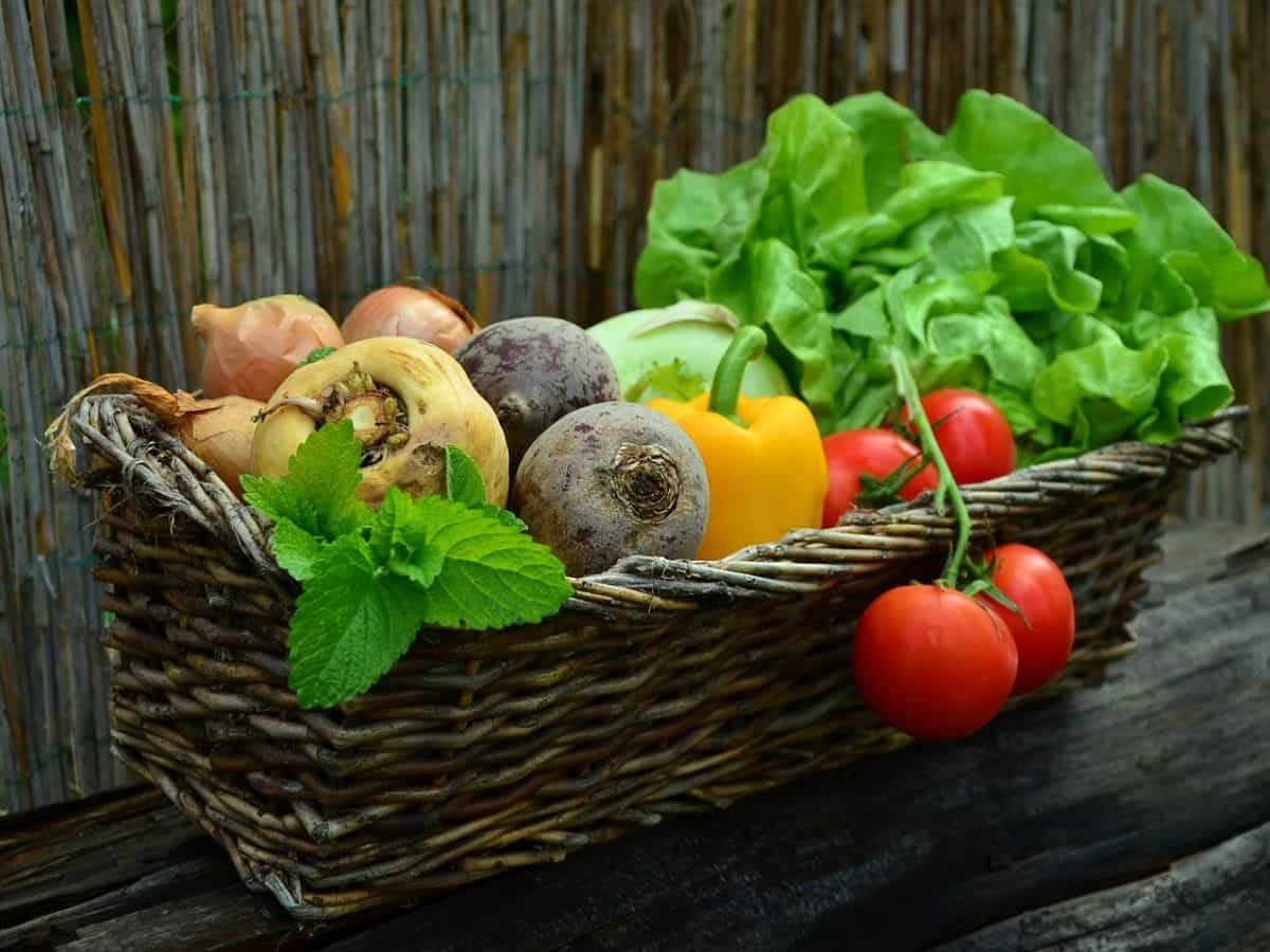 ऑनलाइन फल-सब्जी खरीदने का बढ़ा चलन, कम कीमत का उठा रहे फायदा