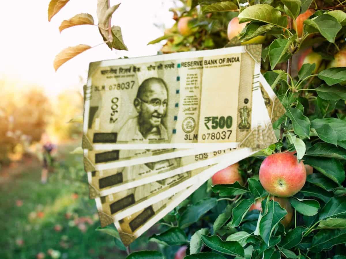 Success Story: नौकरी छोड़ शुरू किया खेती से जुड़ा ये काम, अब सालाना 1 करोड़ रुपये का मुनाफा