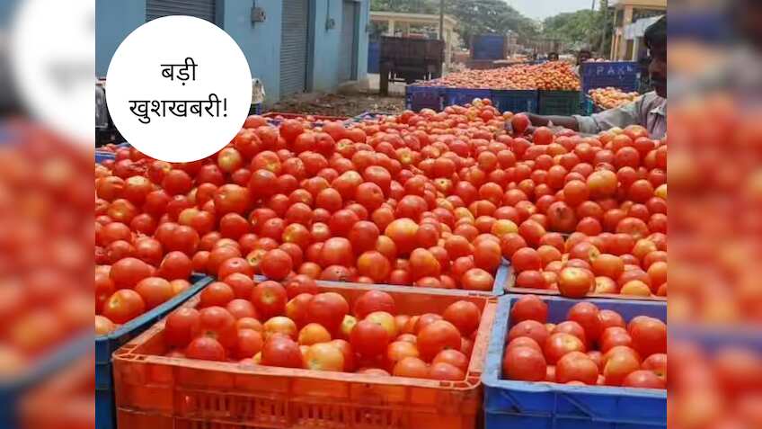 Tomato जल्द होगा सस्ता! 5-6 दिन में घट सकते हैं दाम, सरकार का आया बड़ा बयान
