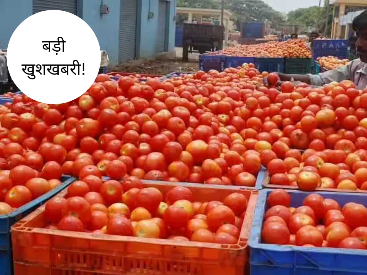 Tomato जल्द होगा सस्ता! 5-6 दिन में घट सकते हैं दाम, सरकार का आया बड़ा बयान