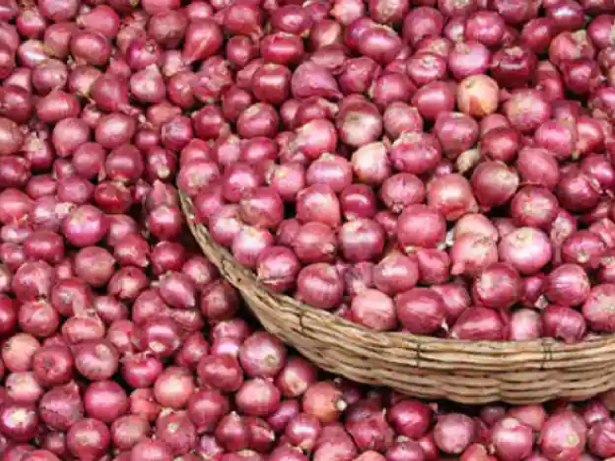 तड़का लगाना पड़ेगा महंगा! टमाटर के बाद अब प्याज का भाव भी छू रहा आसमान, मंडी में बेतहाशा भाग रही कीमतें