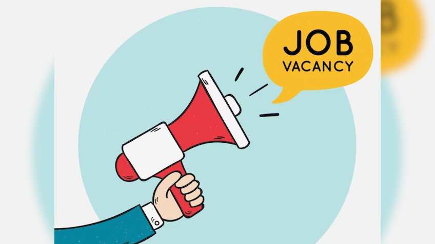 युवाओं का सरकारी नौकरी का सपना चकनाचूर, मोदी सरकार ने नई भर्तियों पर लगाई रोक, जानें क्या है पूरा मामला!