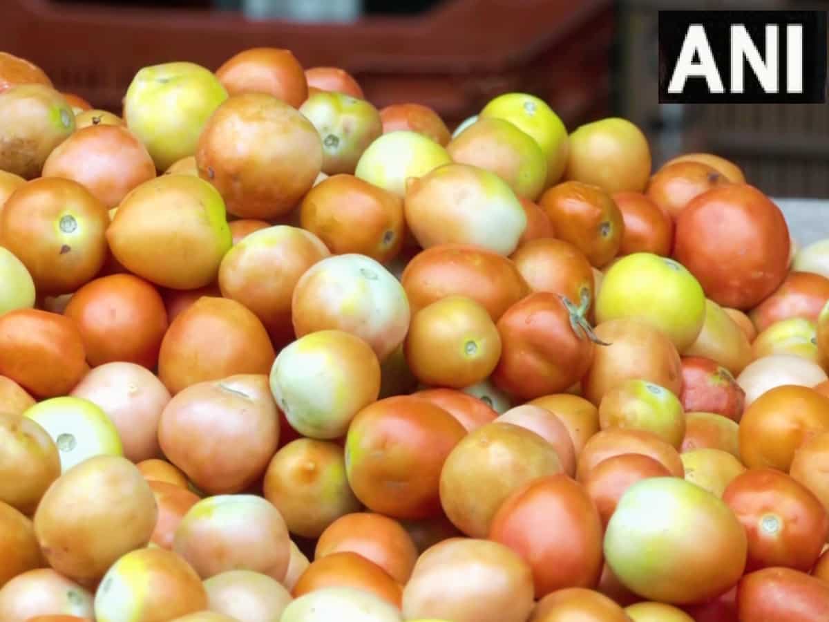 Tomato Price Hike: अगस्‍त तक जारी रह सकता है टमाटरों की कीमत में उछाल, सामने आयी ये वजह