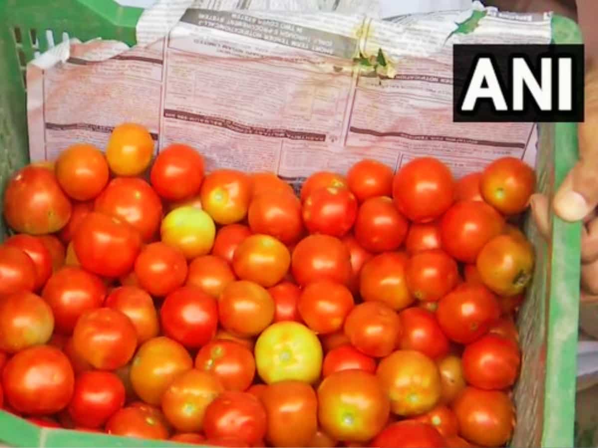 Tomato Price: यूपी, बिहार, दिल्‍ली समेत इन राज्‍यों में टमाटर हुआ और भी 'लाल', 150 रुपए किलो तक पहुंचा भाव