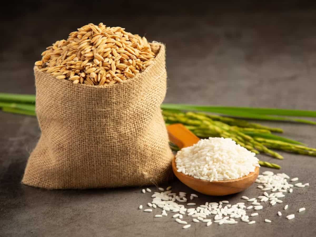 Wheat Price: 12 जुलाई को होगी ई-नीलामी, FCI बेचेगी 4.29 लाख टन गेहूं और 3.95 लाख टन चावल
