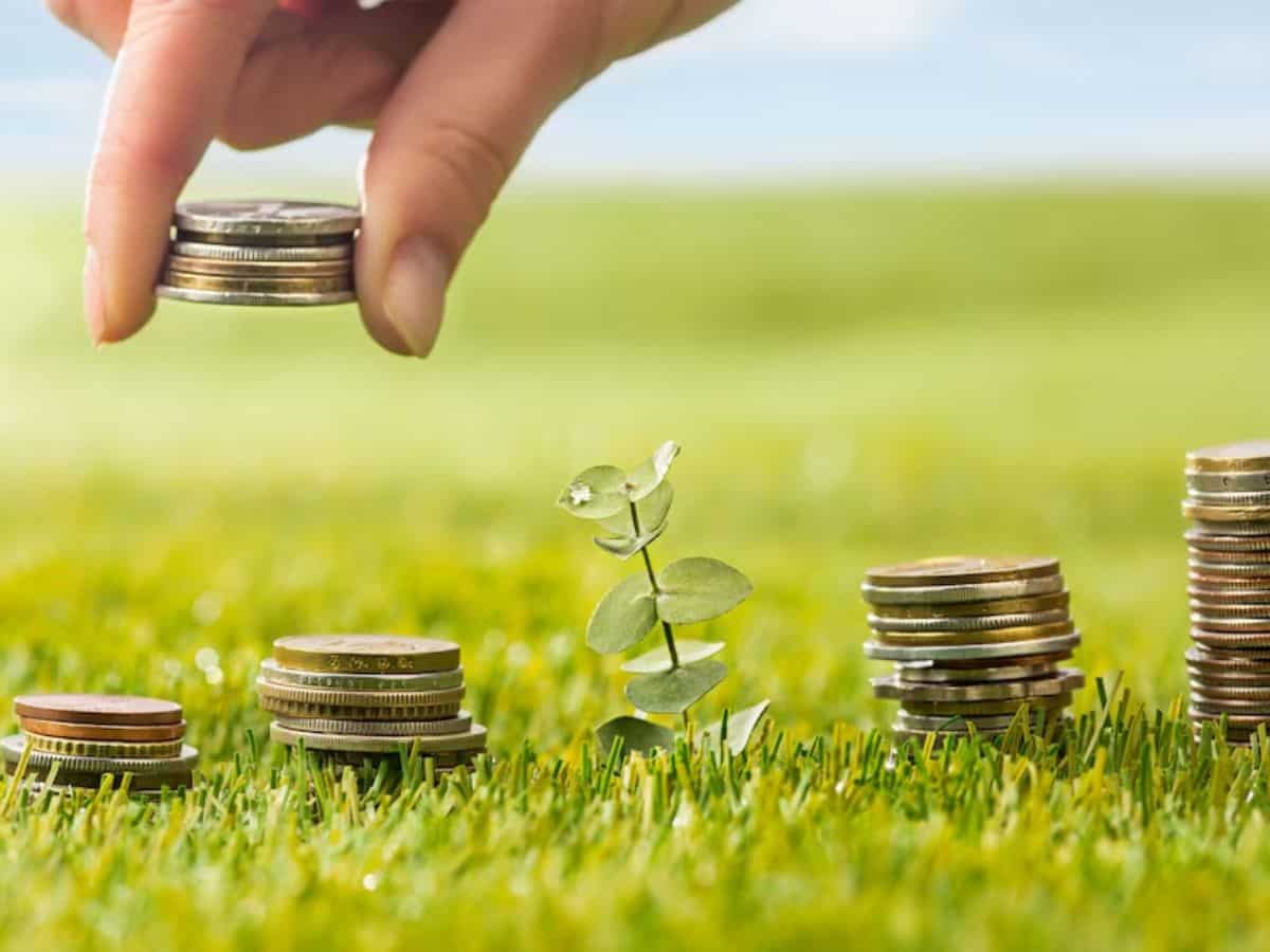 PMFBY: किसानों के लिए जरूरी खबर! 31 जुलाई तक करा लें फसल बीमा, जानिए प्रीमियम रेट