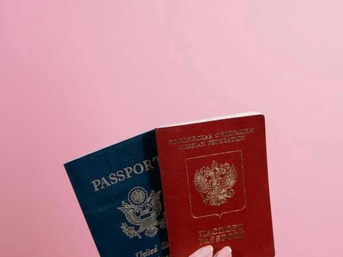 3 रंग के होते हैं Indian Passport, जानिए किसका क्या है मतलब, आसानी से घर बैठे पासपोर्ट के लिए ऐसे करें अप्लाई