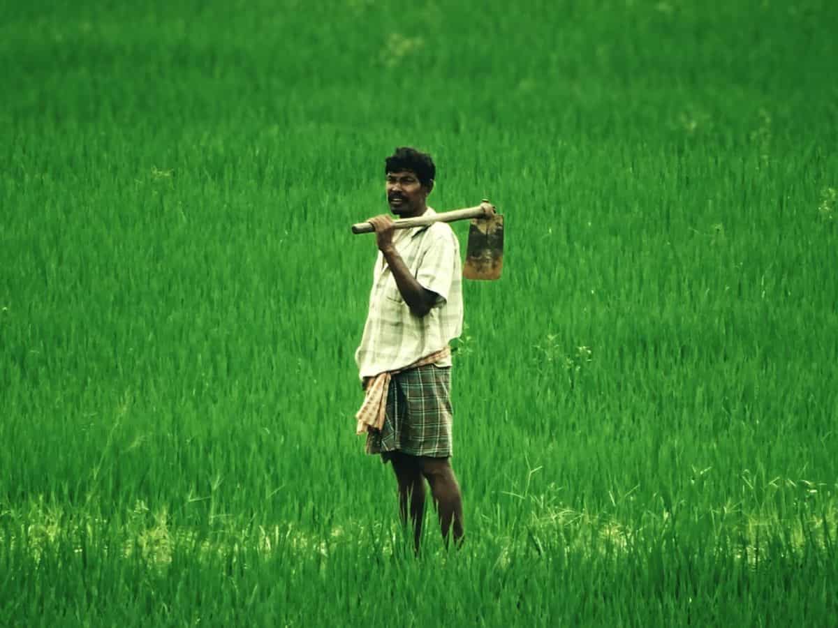 Krishi Kumbh: नवंबर में कृषि कुंभ का आयोजन करेगी योगी सरकार, नई तकनीक से रूबरू होंगे किसान