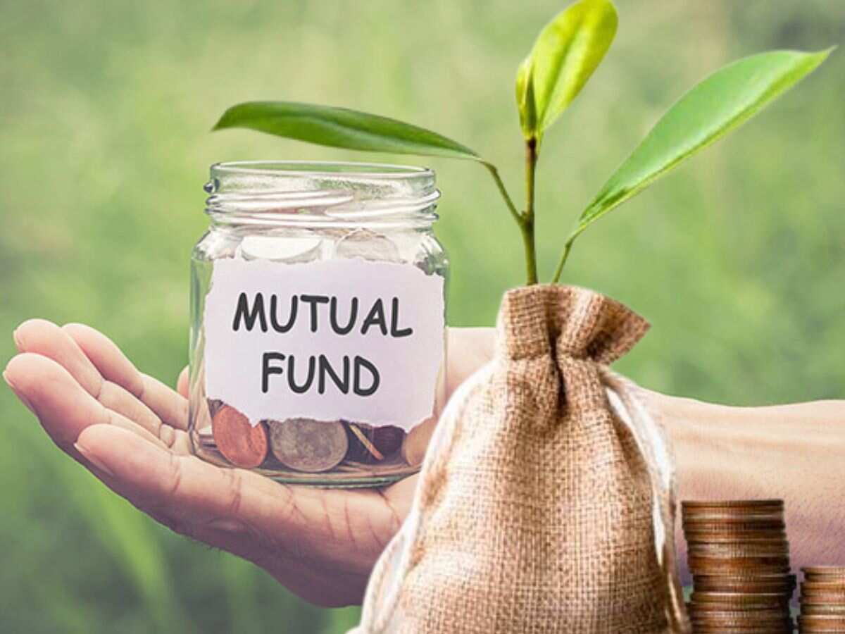 Equity Funds में 2 गुना से ज्‍यादा बढ़ा निवेश, जून में ₹8637 करोड़ का इनफ्लो; Small Cap Funds में आया जबरदस्‍त पैसा