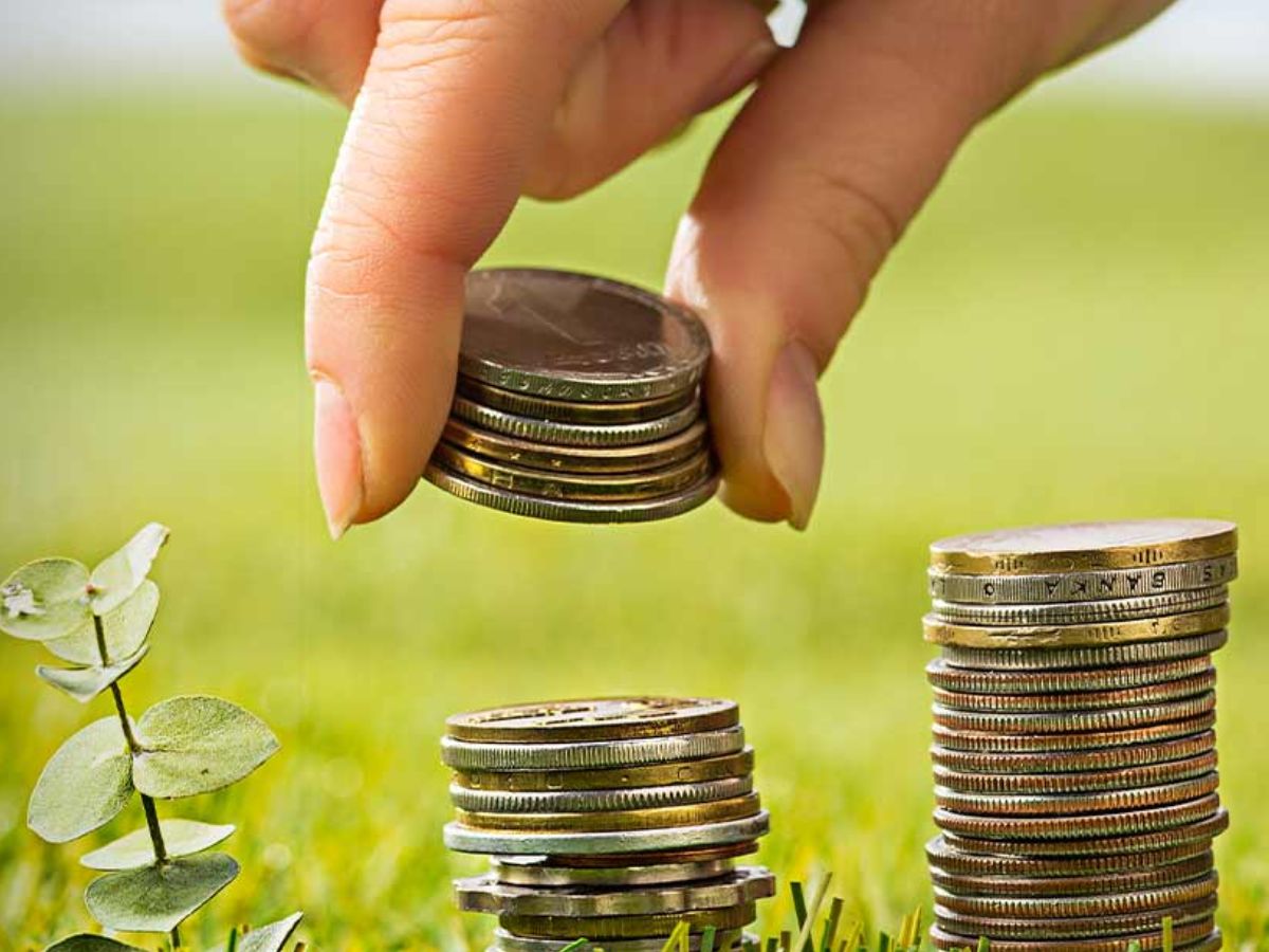 Small Cap Funds में जबरदस्त निवेश, टॉप स्कीम्स ने ₹10 लाख के 10 साल में बन दिए ₹1 करोड़; समझें डीटेल