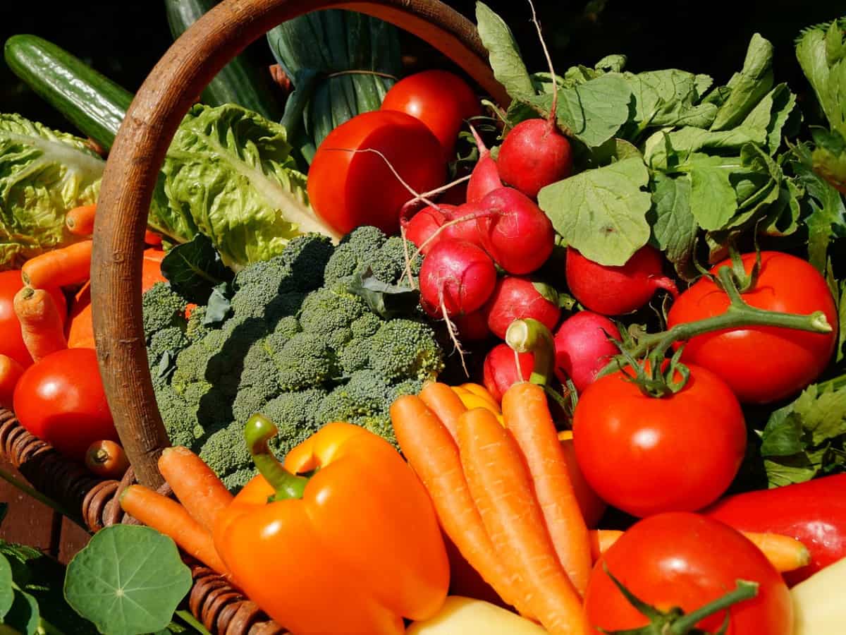 Vegetable Price Today: मॉनसून में सब्जियों पर बरस रही है महंगाई! टमाटर ₹150-200/kg, अदरक-मिर्च का तड़का भी महंगा