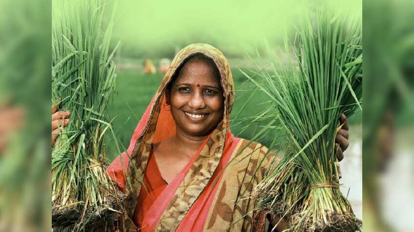 PMFBY: फसलों का बीमा हुआ और भी आसान, 31 जुलाई तक करें आवेदन, नुकसान की होगी भरपाई