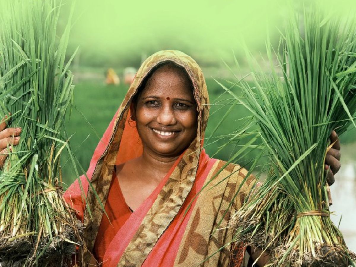 PMFBY: फसलों का बीमा हुआ और भी आसान, 31 जुलाई तक करें आवेदन, नुकसान की होगी भरपाई