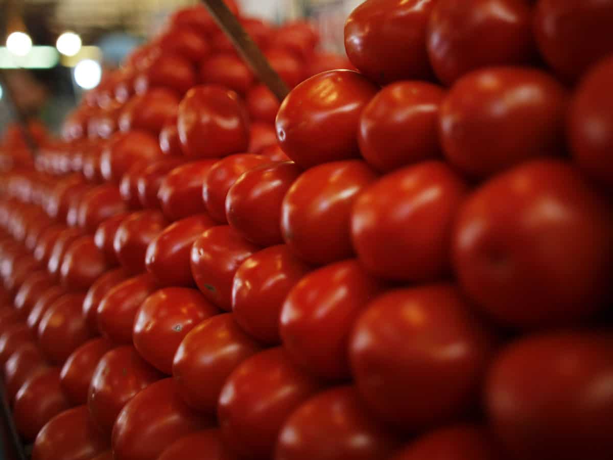 Tomatoes Price: इन 20 जगहों पर मिलेगा सस्ता टमाटर, दिल्ली NCR के निवासी नोट कर लें ये लैंडमार्क