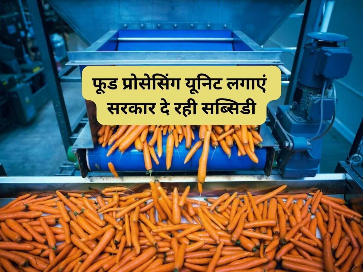 सुनहरा मौका! कृषि से जुड़े शुरू करें ये बिजनेस, सरकार दे रही आर्थिक मदद, जानिए पूरी डीटेल