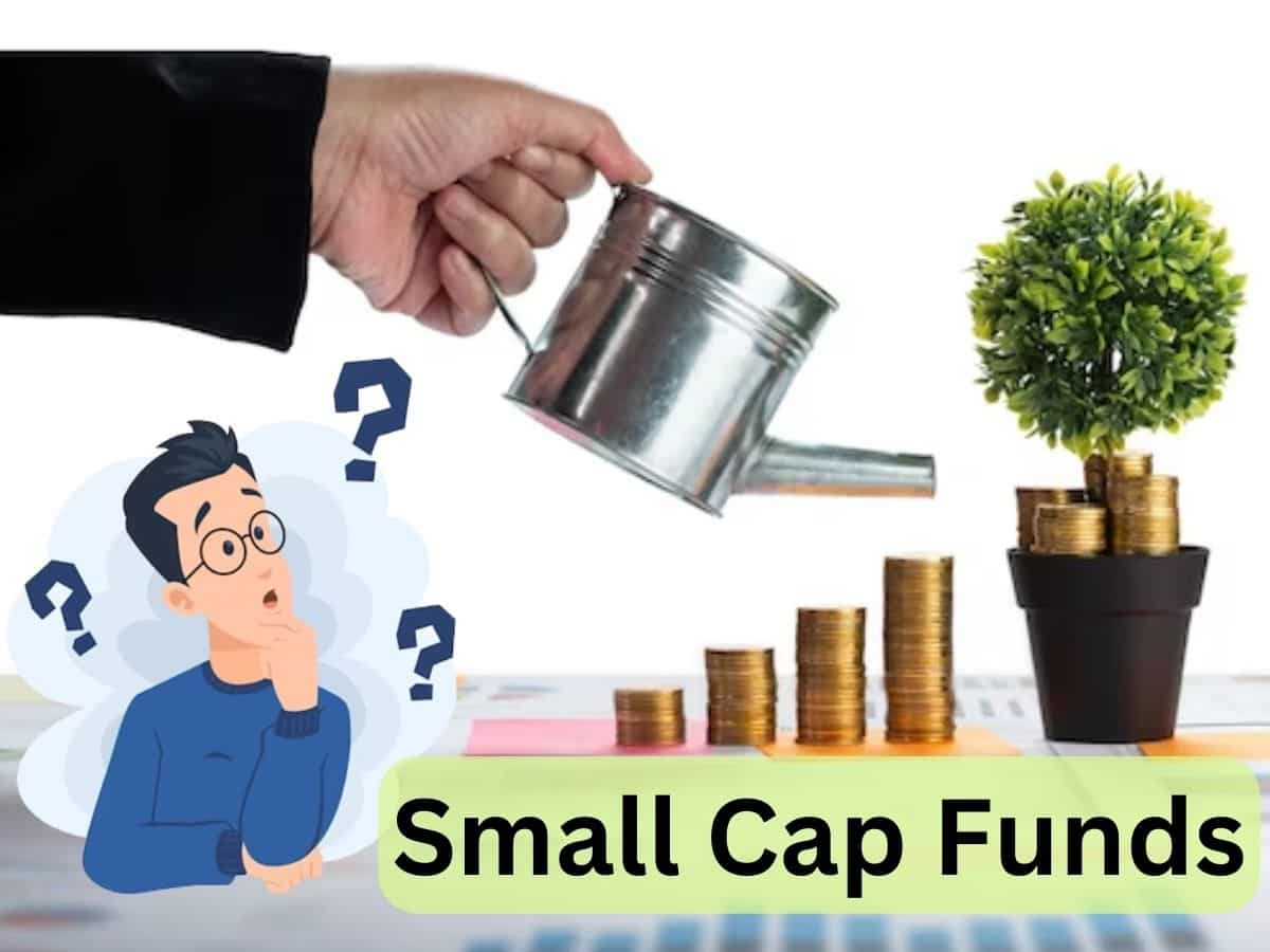 Small Cap Funds में कितना निवेश करना चाहिए? ज्यादा लालच के चक्कर में हो सकता है बड़ा नुकसान