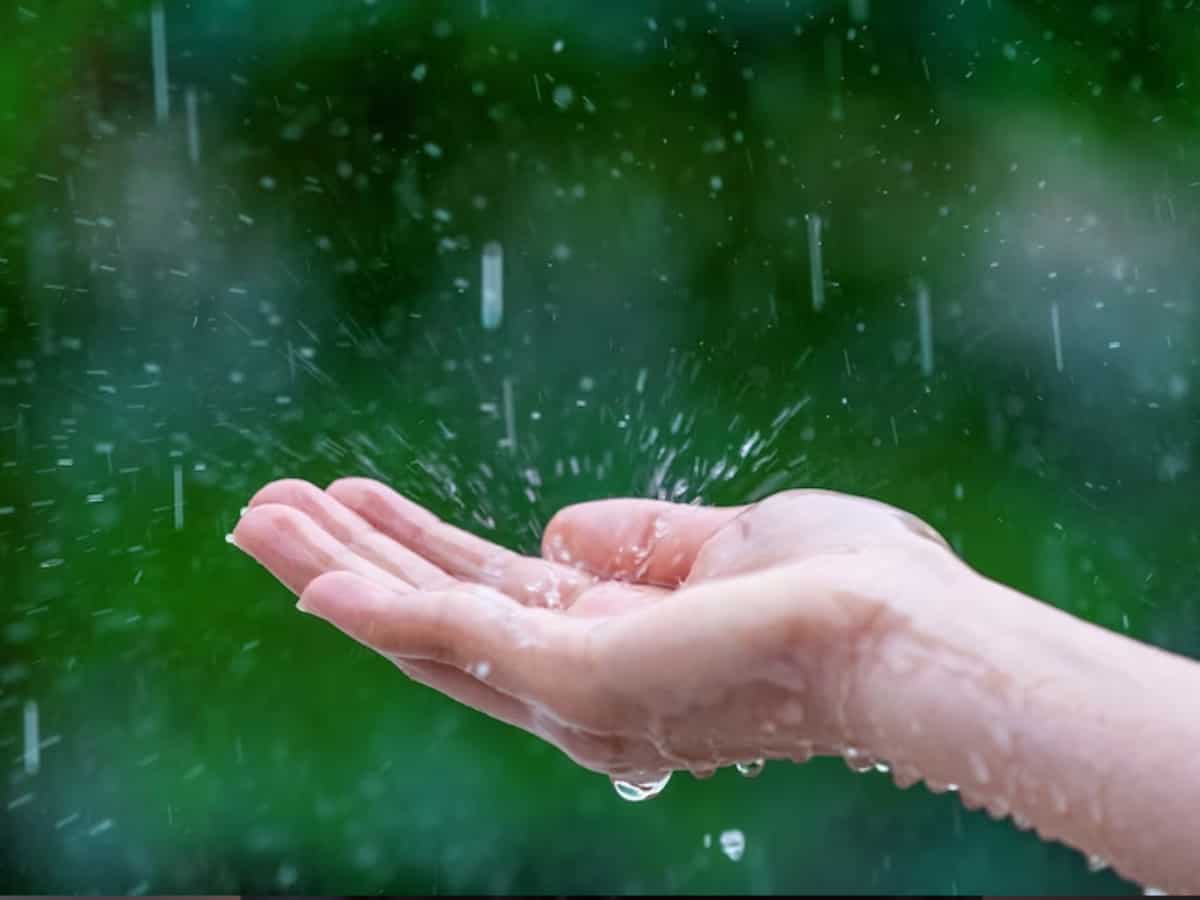 Weather Update: दिल्‍ली-एनसीआर समेत देश के इन हिस्‍सों में भारी बारिश की संभावना, IMD ने जारी किया अलर्ट | Zee Business Hindi