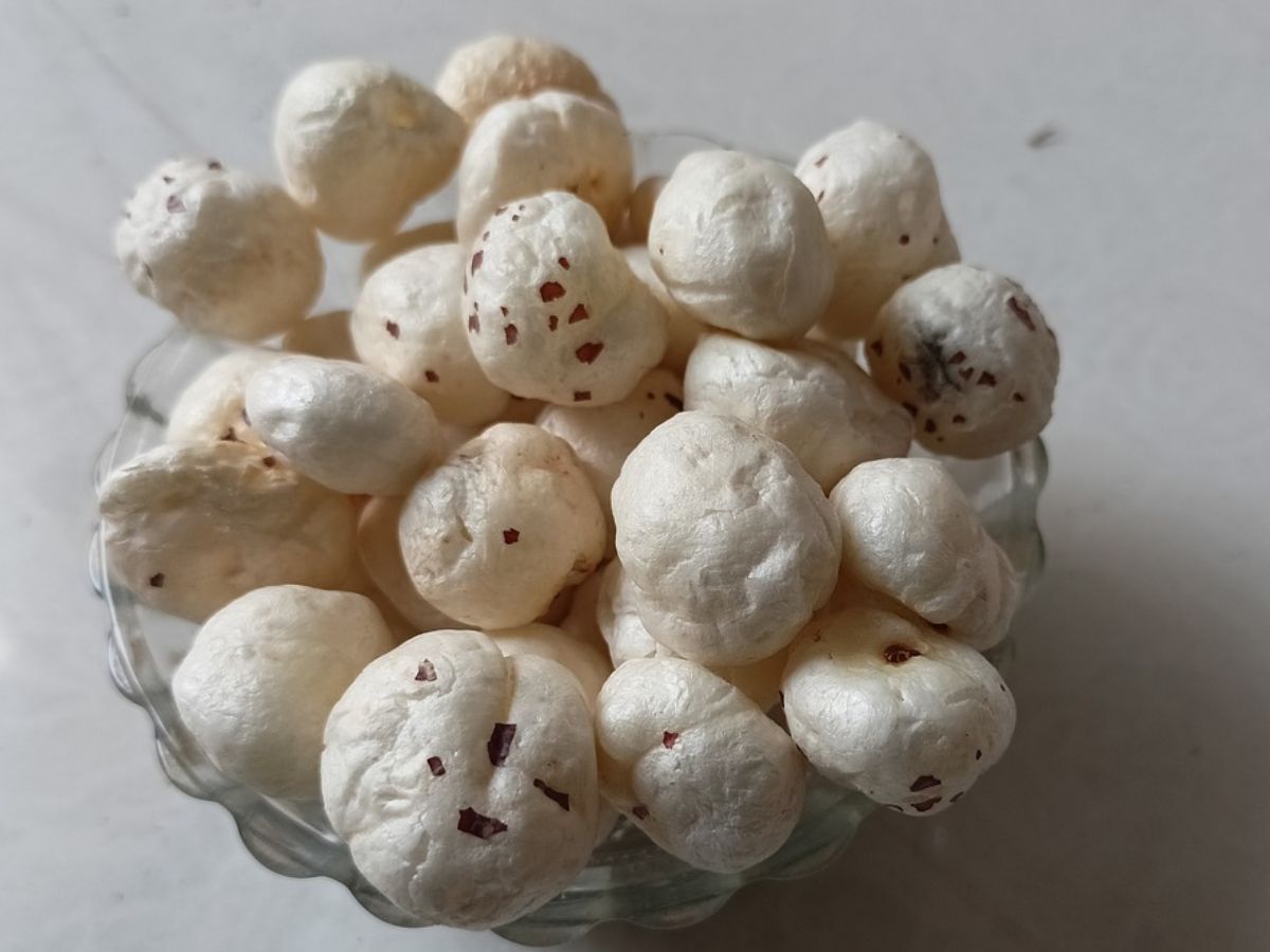 अगर डाइट में शामिल कर लें मखाना, तो बुलंद रहेगा आपकी सेहत का खजाना…-If Makhana is included in the diet, then the wealth of your health will remain high…