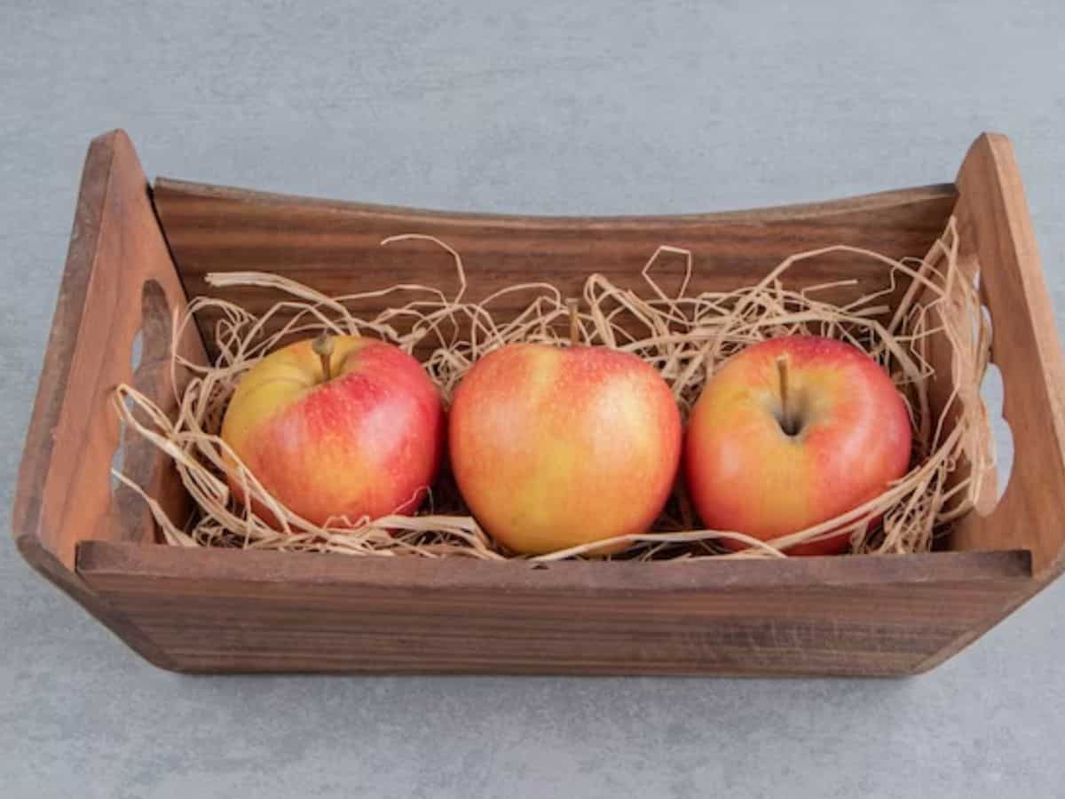 हिमाचल के सेब किसानों के लिए बड़ी खबर, राज्य सरकार ने लिया बड़ा फैसला, होगा ज्यादा मुनाफा