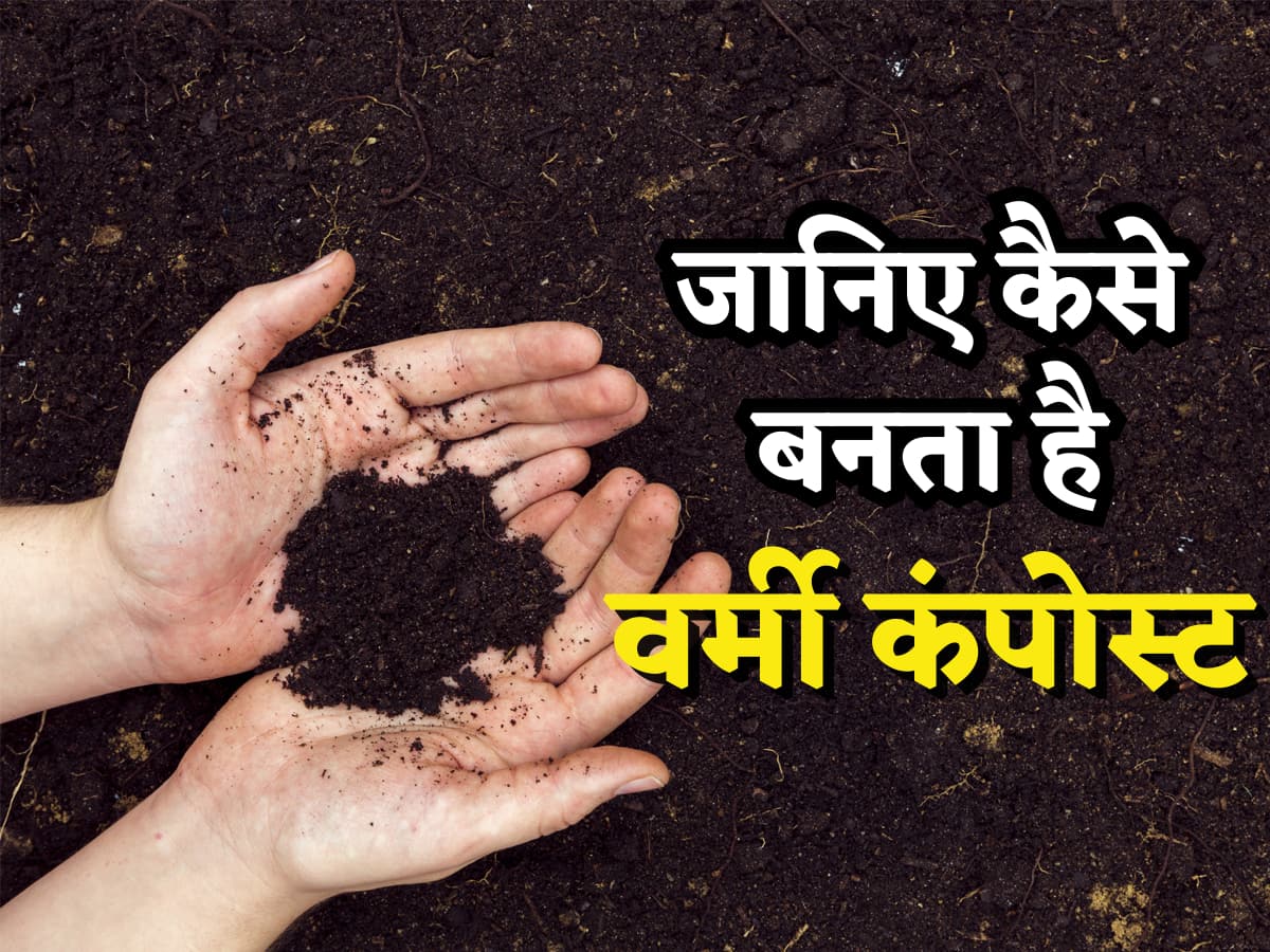 Vermi Compost: ऐसे बनता है वर्मी कंपोस्ट, Organic Farming में आता है काम, Business से कमा सकते हैं लाखों