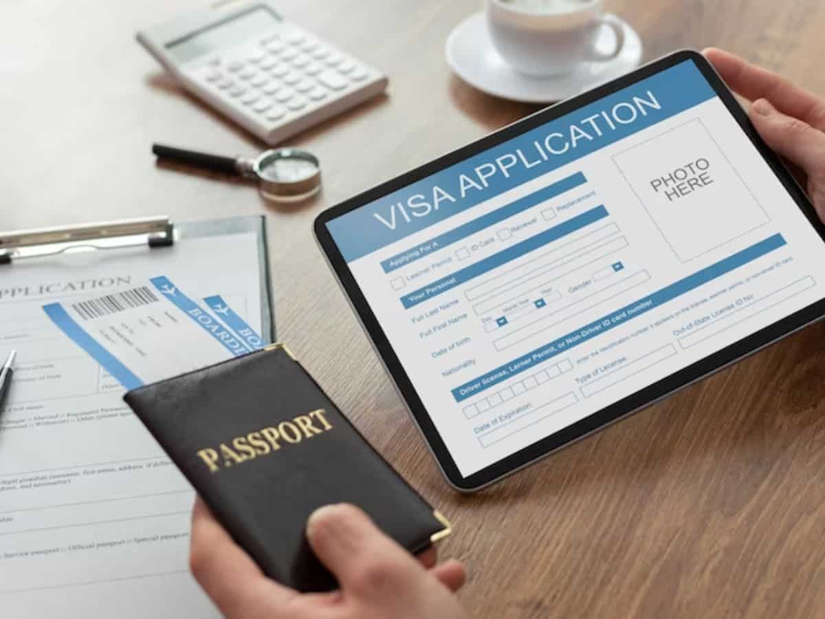 e-Visa चाहिए तो हो जाएं सावधान, फर्जी वेबसाइटों की है आपके ऊपर नजर, लोकसभा में सरकार ने किया खुलासा