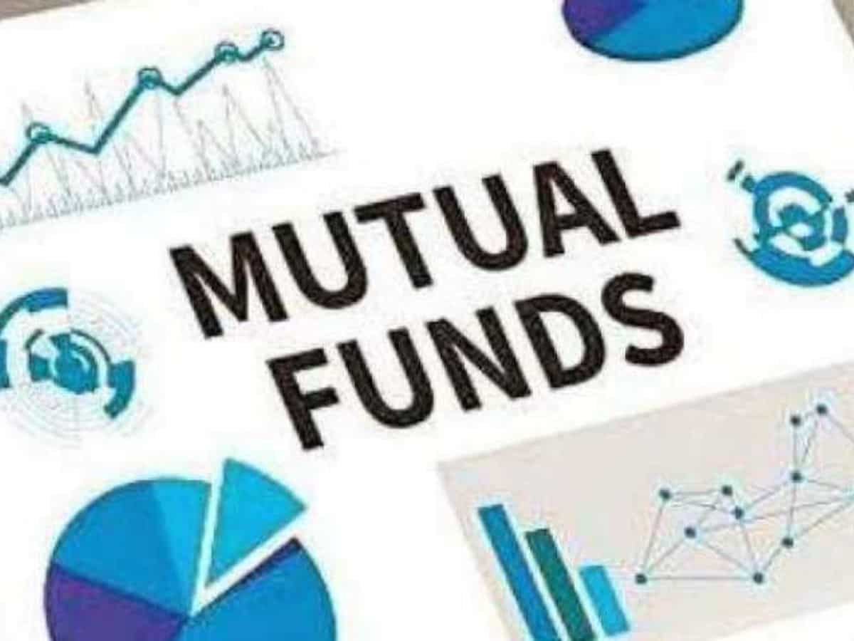 Risk और Return को मैनेज करने का बेहतर विकल्प है Multicap Fund, जानिए सबकुछ