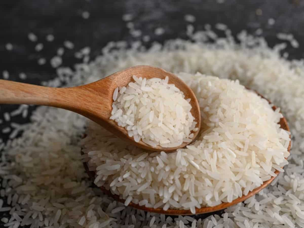 Rice Export Ban: गैर-बासमती सफेद चावल निर्यात पर प्रतिबंध से छूट चाहता है यह देश, जानिए वजह