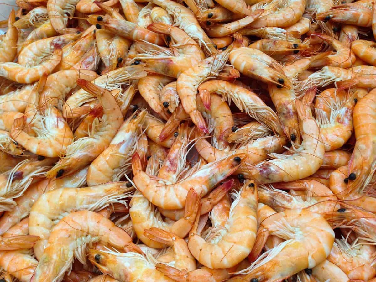 Shrimp Exports: नई लिस्टेड मछली पालन कंपनियां EU को एक्सपोर्ट कर सकेंगी झींगा, भारत ने रखी ये मांग