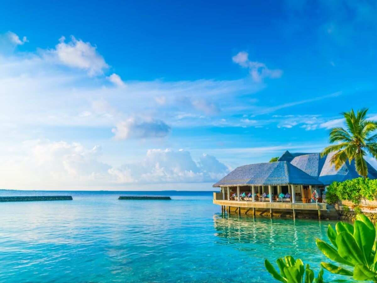 Tourism: विदेशी पर्यटन को बढ़ावा देने के लिए Tour Package पर TCS कम करने पर विचार करे सरकार