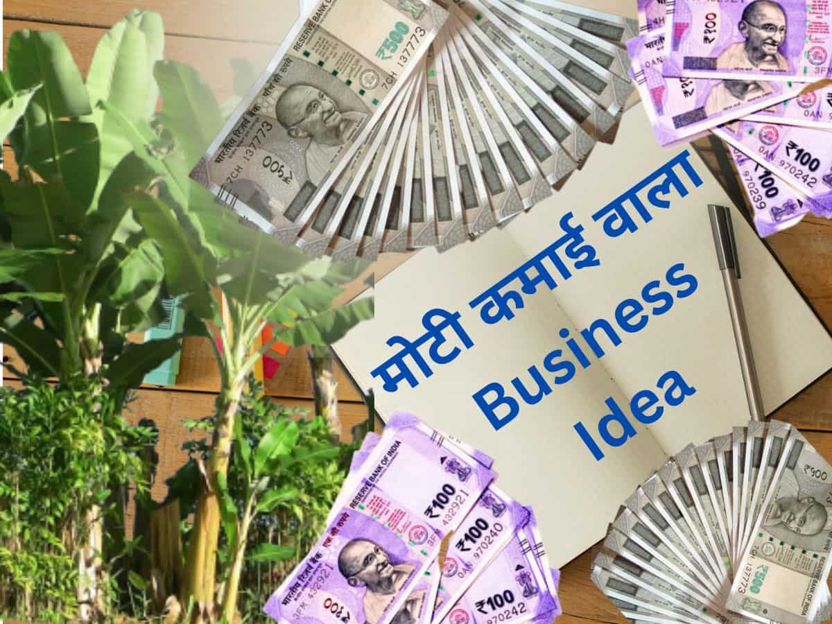 Business Idea: ₹1.65 लाख में शुरू करें ये धांसू बिजनेस, हर महीने ₹60 हजार से ज्यादा कमाई