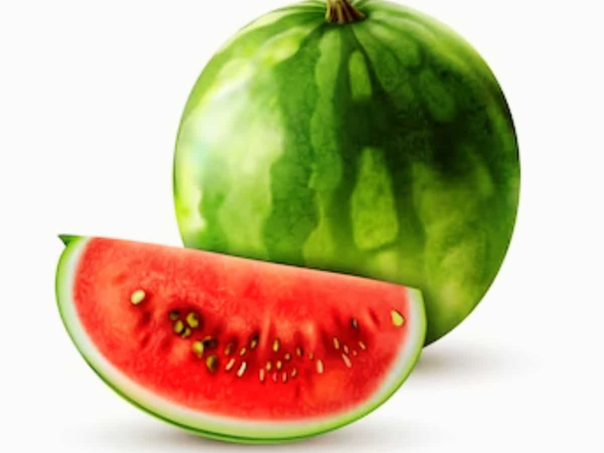 National Watermelon Day 2023: आम की वैराइटी तो देखी होंगी, लेकिन क्‍या तरबूज की इन किस्‍मों के बारे में जानते हैं?