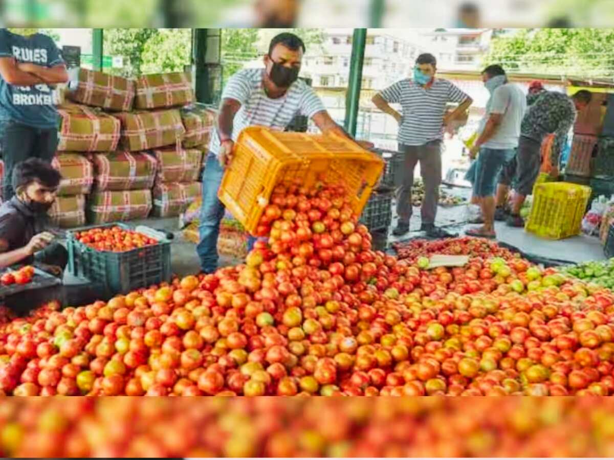 Tomato Price Hike: 300 रुपए किलो तक बढ़ सकती है टमाटर की कीमत, थोक कारोबारियों ने बताई ये बड़ी वजह