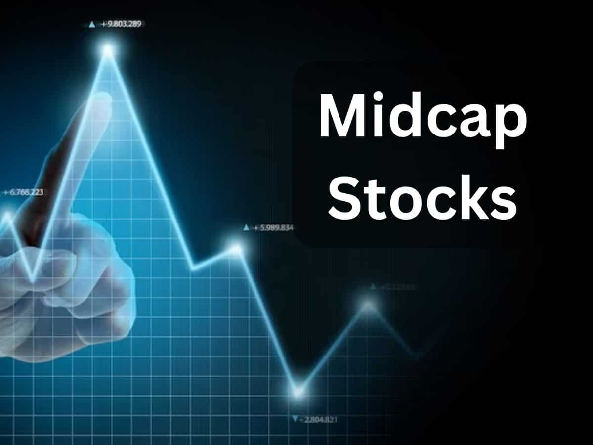 इन Midcap Stocks को एक्सपर्ट ने आपके लिए चुना, जानें किस शेयर का भाव कहां तक जाएगा